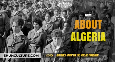 Exploring Algeria's Rich Culture, History, and Vibrant Modern Landscape