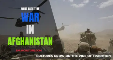 The Long War: Afghanistan's Enduring Conflict