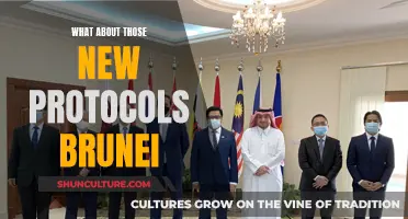 Brunei's New Protocols: What You Need to Know