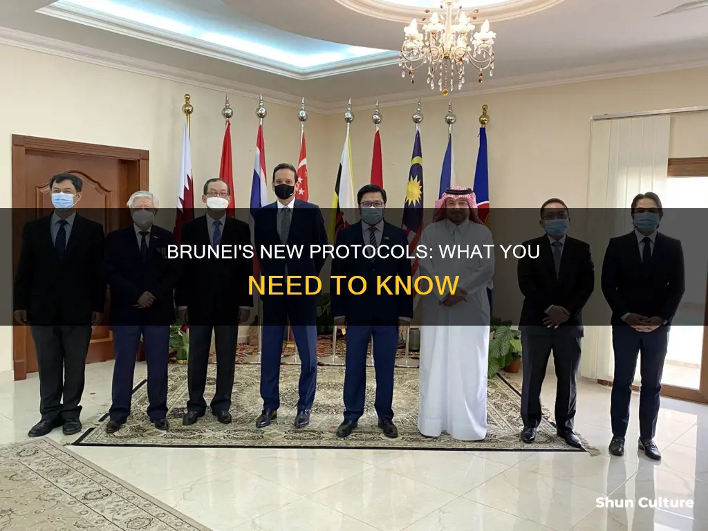 what about those new protocols brunei