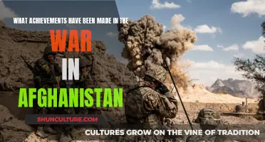 **The Long War in Afghanistan: Achievements and Legacies** 