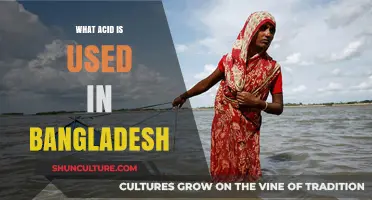 Exploring the Common Acid Used in Bangladesh: Types and Applications