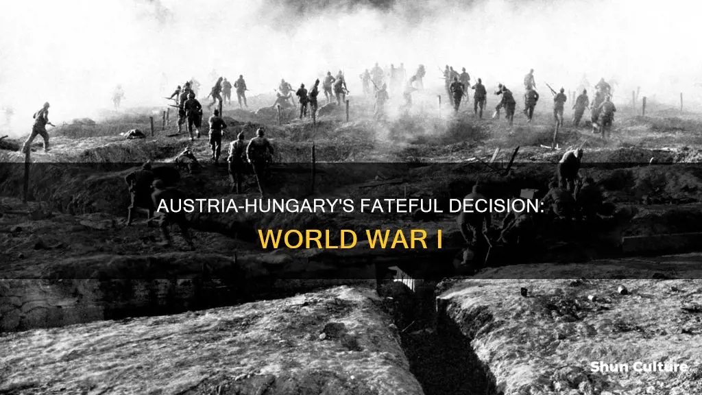 what act by austrian hungary led the world to war