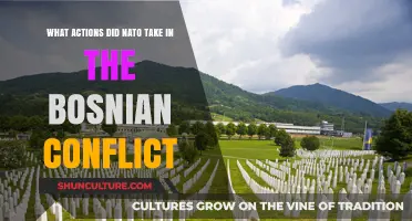 NATO's Role and Interventions in the Bosnian Conflict: Key Actions