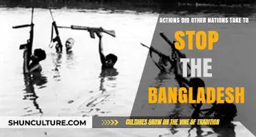 Global Response: How Nations Attempted to Halt Bangladesh's Liberation Struggle