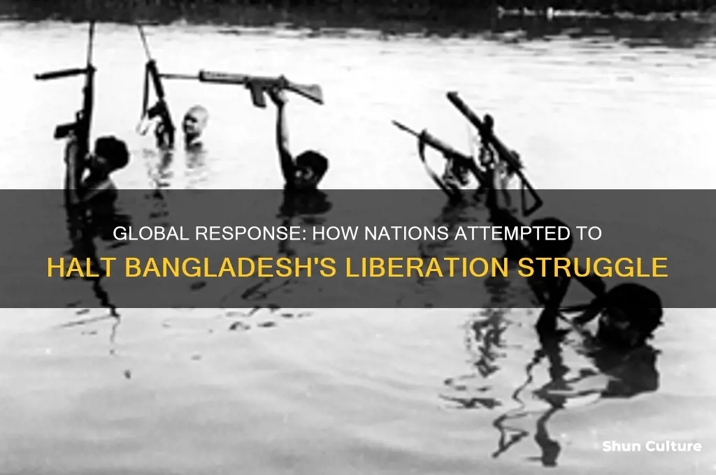what actions did other nations take to stop the bangladesh
