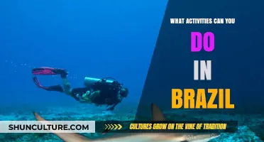 Exploring Brazil: Top Activities to Experience in This Vibrant Country
