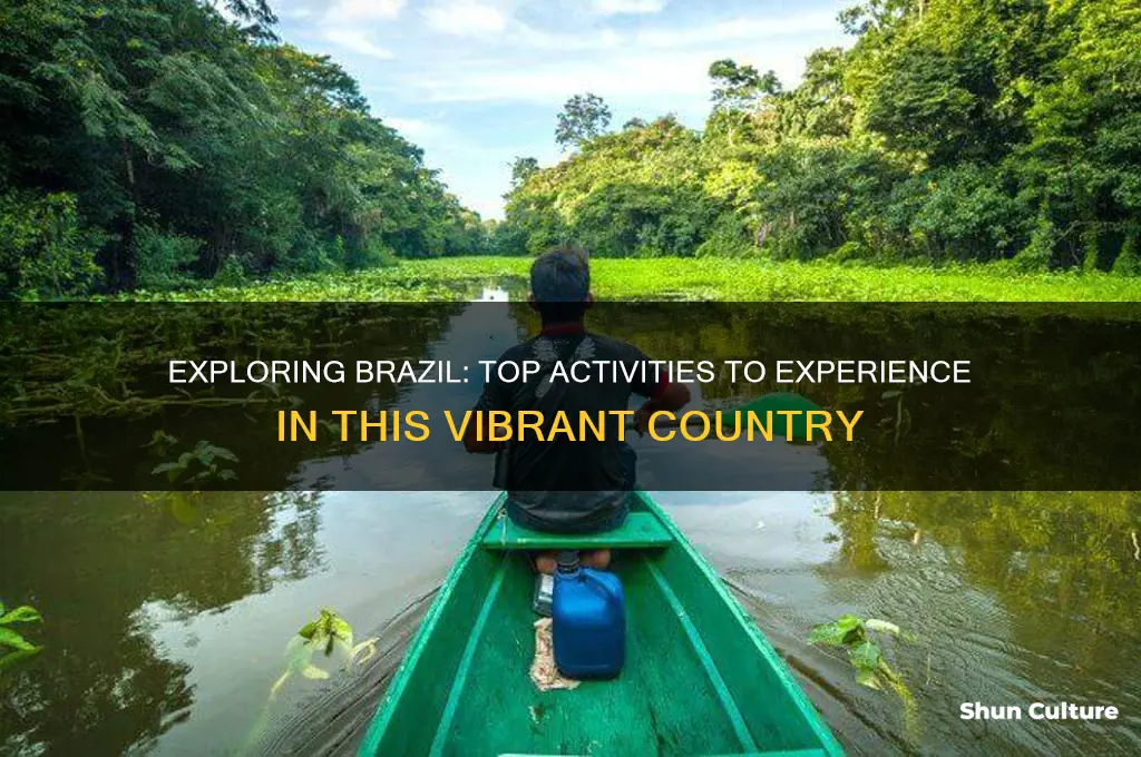 what activities can you do in brazil