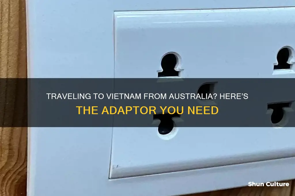 what adaptor do I need for vietnam from australia