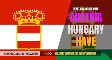 Austria-Hungary's Strategic Advantages: A Complex Empire's Benefits