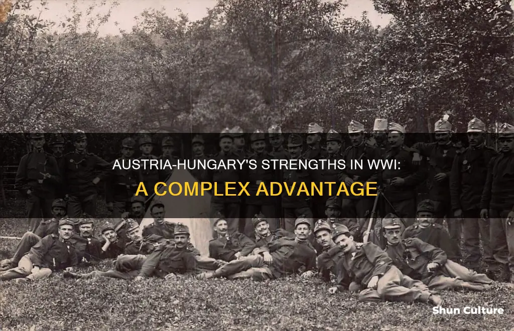 what advantages did austria hungary have in ww1