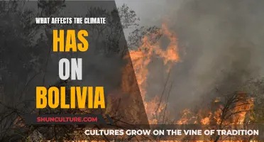 Bolivia's Climate: Impact and Influence