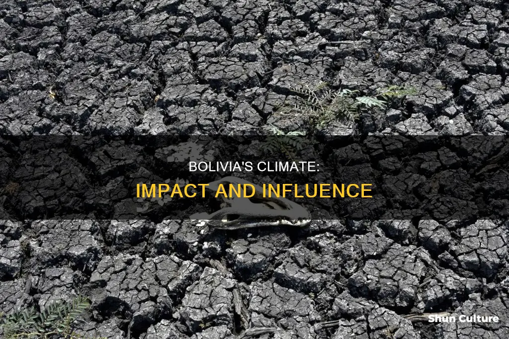 what affects the climate has on bolivia