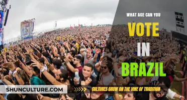 Voting Age in Brazil: When Can Citizens Cast Their First Ballot?