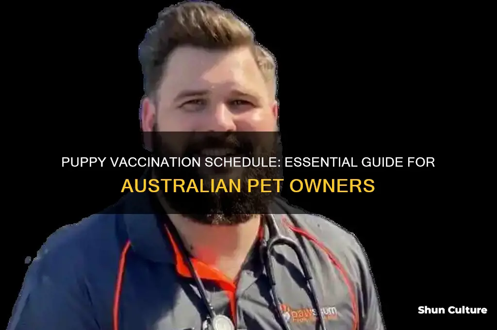 what age do puppies need vaccinated australia