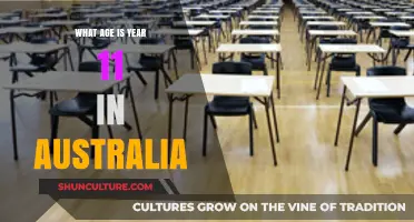 Year 11 in Australia: Understanding the Typical Student Age