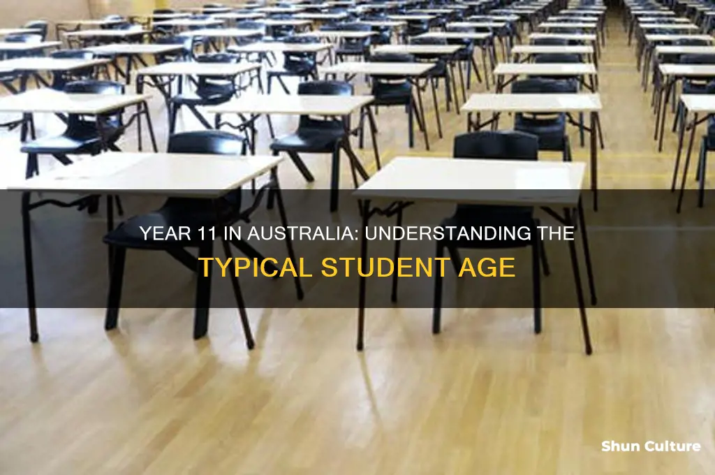 what age is year 11 in australia