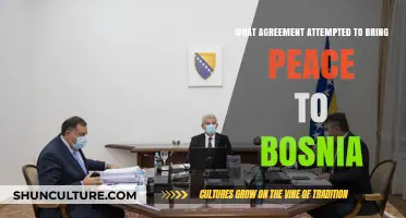 The Dayton Accords: Bosnia's Path to Peace and Stability