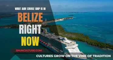 Cruise Ships Dock in Belize: A Tropical Escape