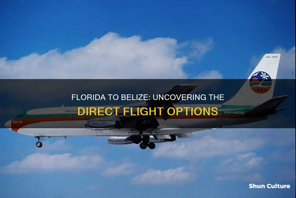 what air lines from florida fly to belize