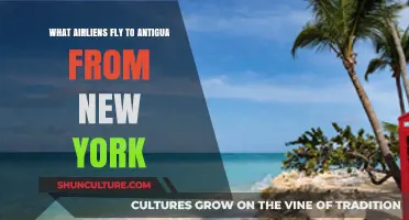 Nonstop Flights from New York to Antigua: Airlines and Options