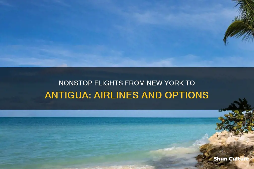 what airliens fly to antigua from new york
