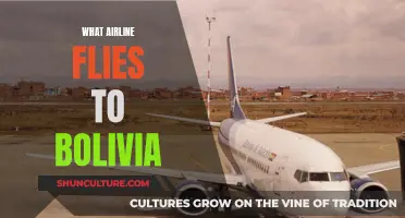 Best Airlines to Fly to Bolivia