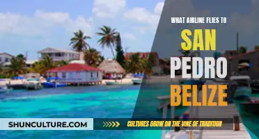 Belize's San Pedro: Which Airlines Fly There?