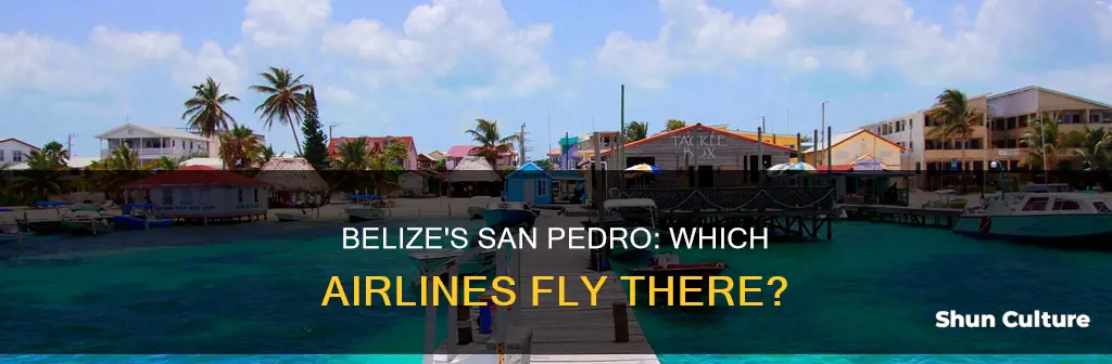 what airline flies to san pedro belize