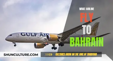 Best Airlines Flying to Bahrain: Your Guide