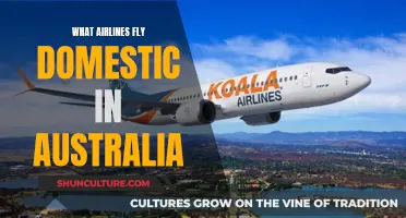 Domestic Flights in Australia: Airlines Offering Comprehensive Coverage