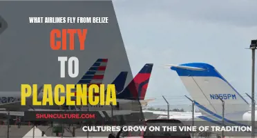 Airlines Offering Direct Flights from Belize City to Placencia