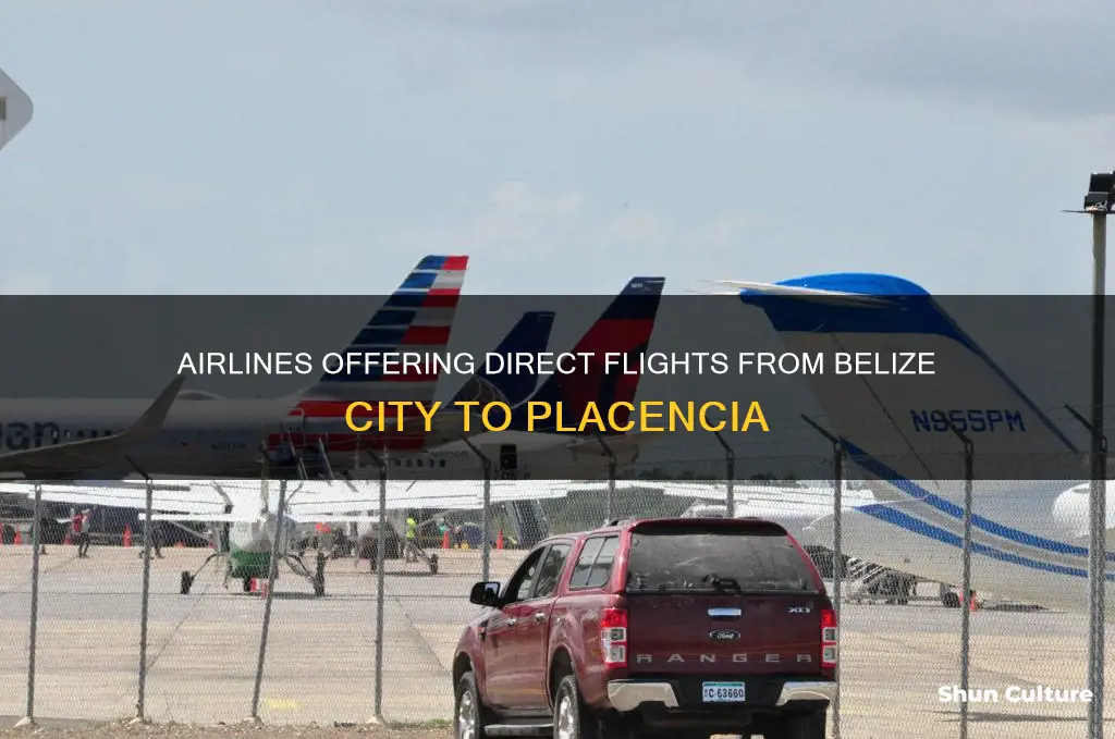 what airlines fly from belize city to placencia