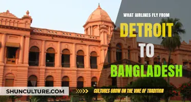 Detroit to Bangladesh Flights: Which Airlines Offer Direct or Connecting Routes?