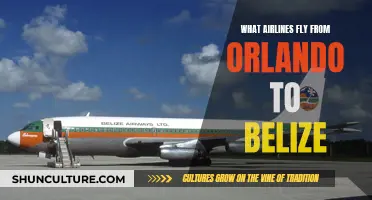 Which Airlines Take You From Orlando to Belize?