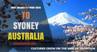 Tokyo to Sydney Flights: Airlines Connecting Japan and Australia