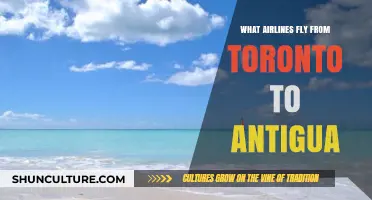 Toronto to Antigua Flights: Which Airlines Offer Direct Routes?