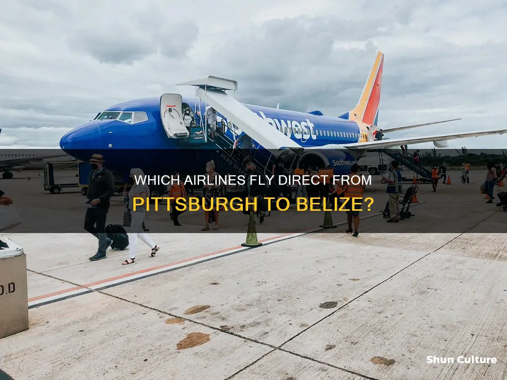 what airlines fly pittsburgh to belize