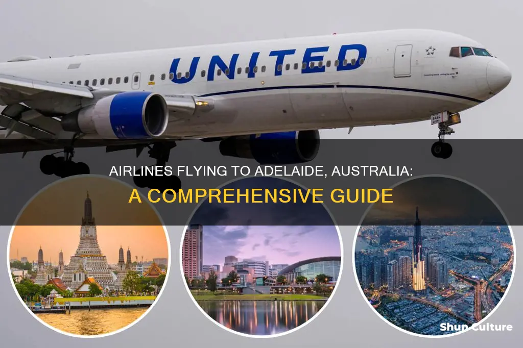what airlines fly to adelaide australia