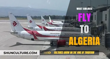 Discover Airlines Offering Flights to Algeria: Your Travel Guide
