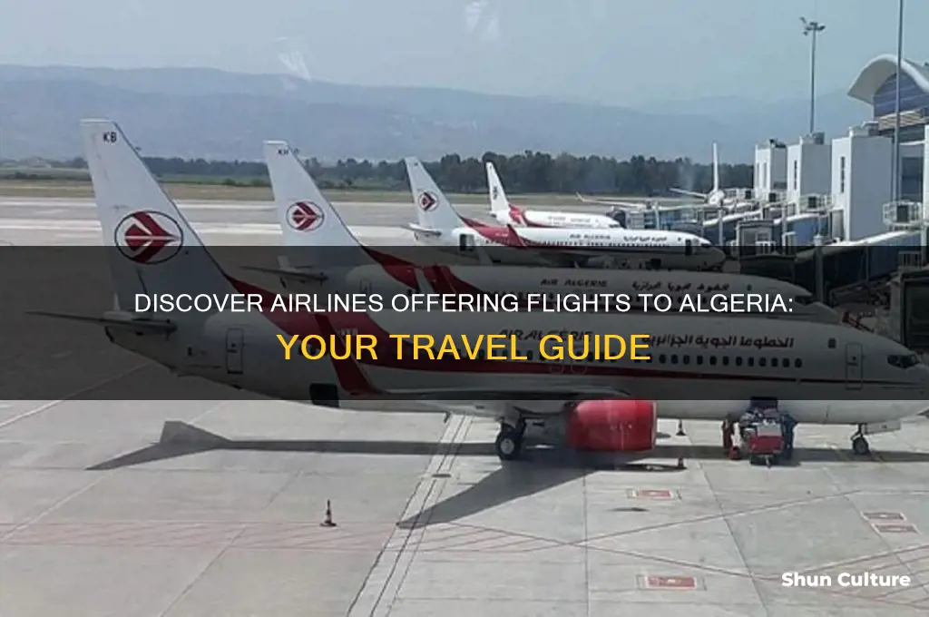 what airlines fly to algeria