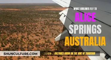 Airlines Flying to Alice Springs, Australia: A Comprehensive Guide