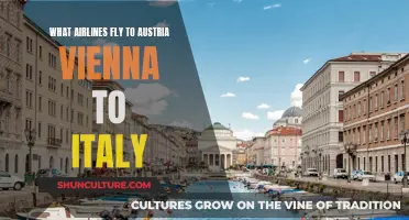 Traveling from Austria to Italy: Airlines for Your Trip