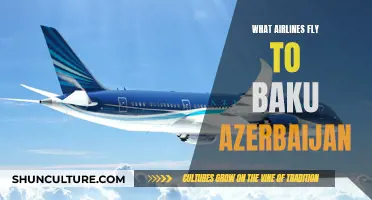 Best Airlines to Fly to Baku, Azerbaijan