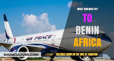 Exploring Benin: A Guide to Airlines Serving This West African Gem