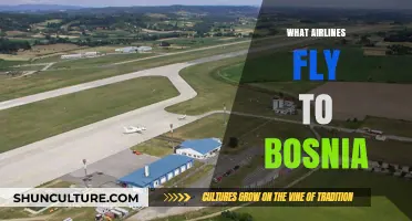 Discover Airlines Offering Flights to Bosnia: Your Travel Guide