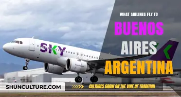 Discovering Buenos Aires: A Guide to Airlines That Fly There