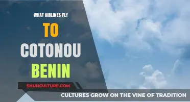 Discover Airlines Connecting You to Cotonou, Benin