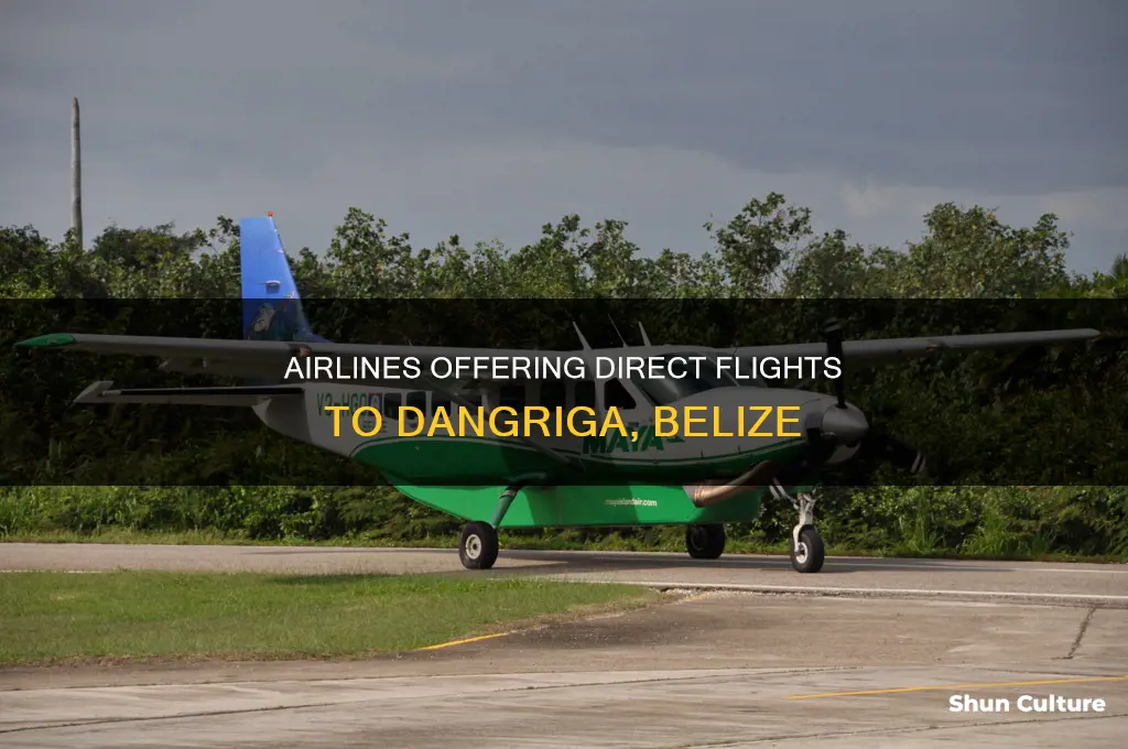 what airlines fly to dangriga belize