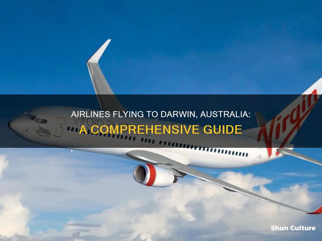 what airlines fly to darwin australia